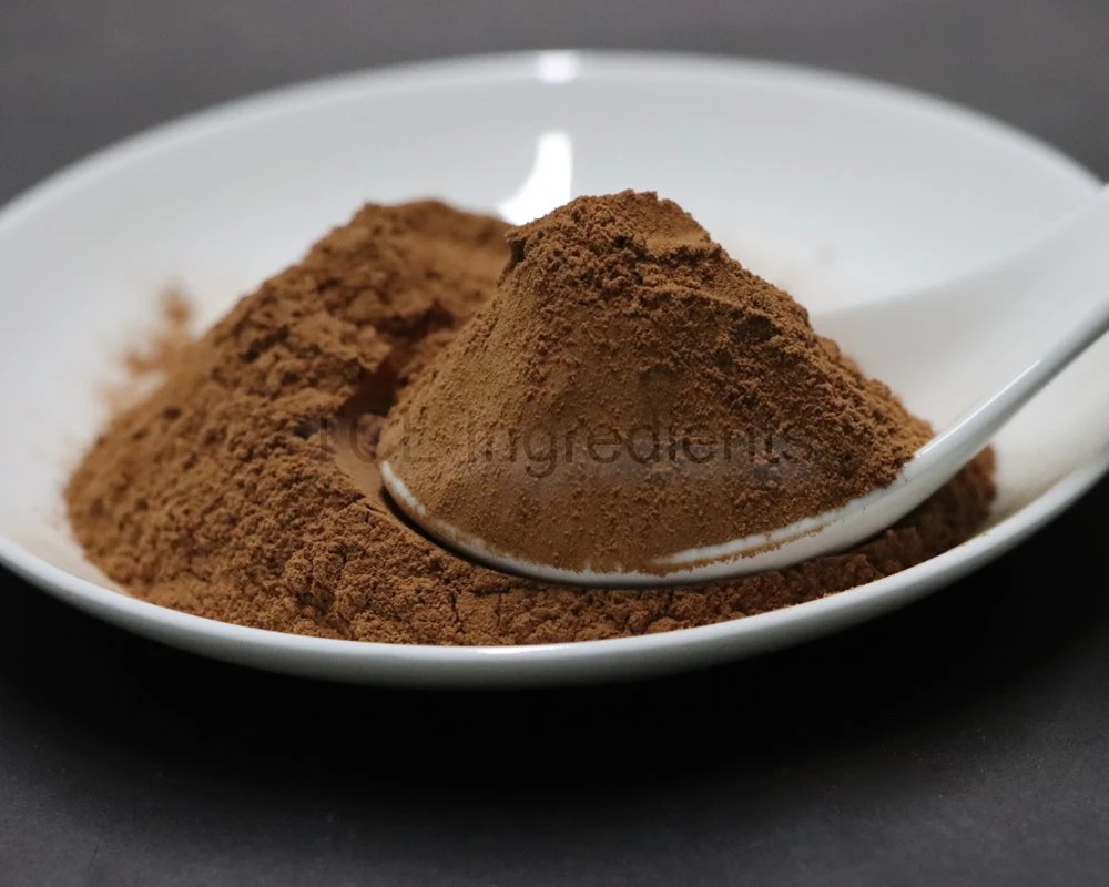 Reishi mushroom extract high quality