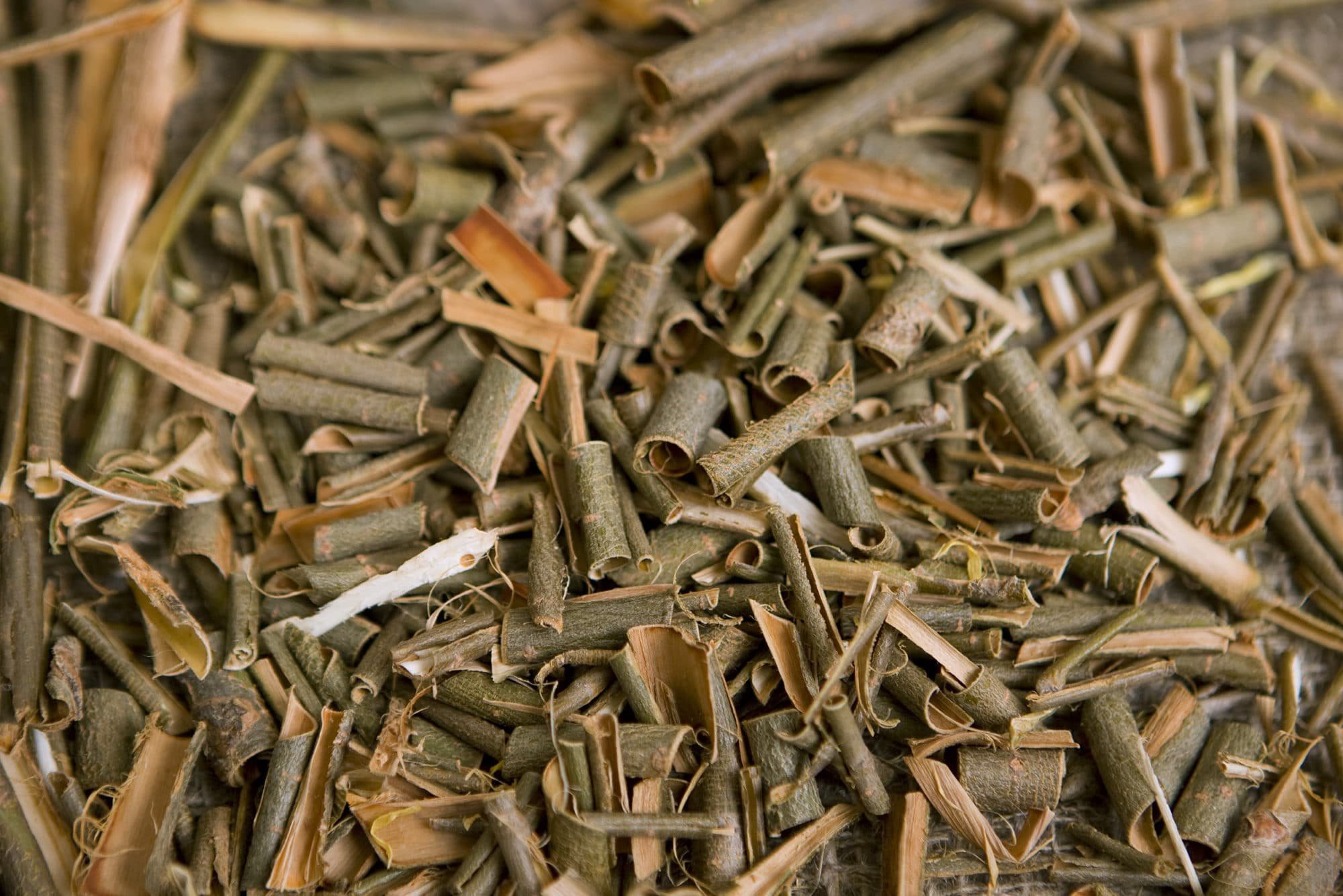 White willow bark Extract powder best price